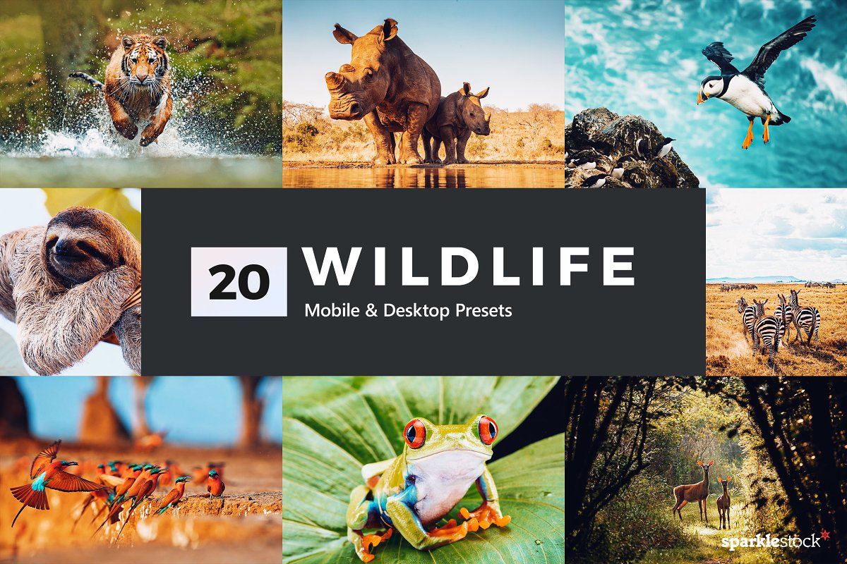 [Creativemarket] 20 Wildlife Lightroom Presets & L_0.jpg